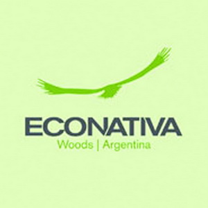 老鷹LOGO設(shè)計(jì)