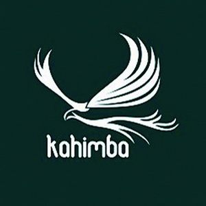 老鷹LOGO設(shè)計(jì)