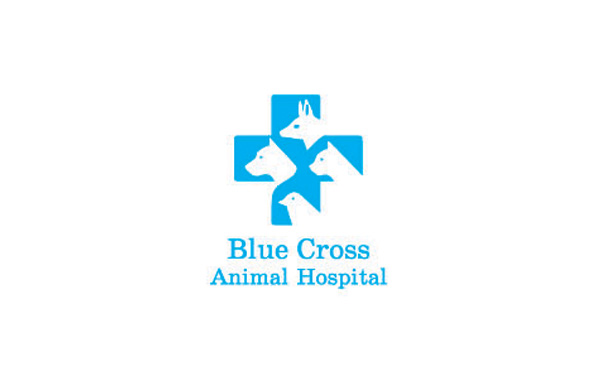 將首字母C變形，用多個C組合為愛心的護(hù)理公司logo設(shè)計