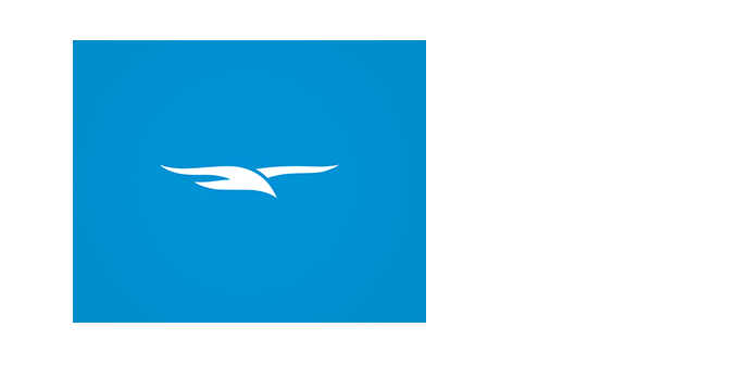 飛鳥LOGO設(shè)計(jì)