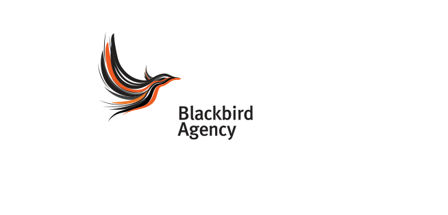 飛鳥LOGO設(shè)計(jì)