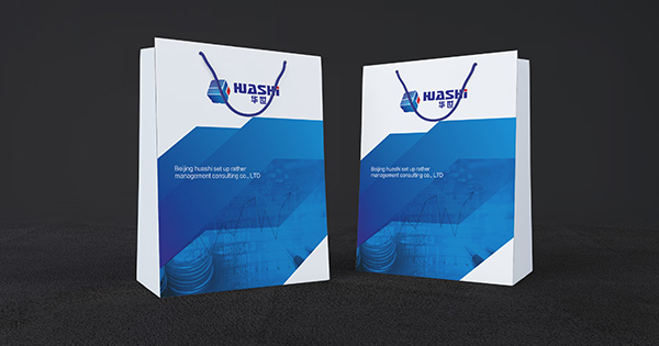 北京華世企業(yè)咨詢管理有限公司LOGO設(shè)計