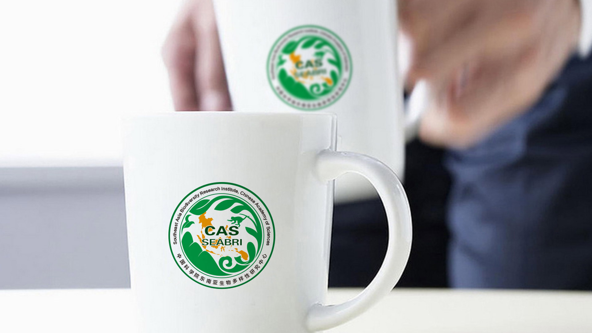 中國(guó)科學(xué)院東南亞生物多樣性研究中心LOGO設(shè)計(jì)
