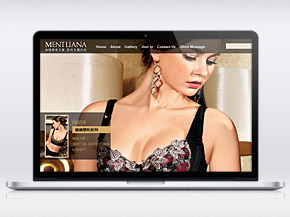 北京億達融國際服飾有限公司塑身內(nèi)衣品牌LOGO設(shè)計