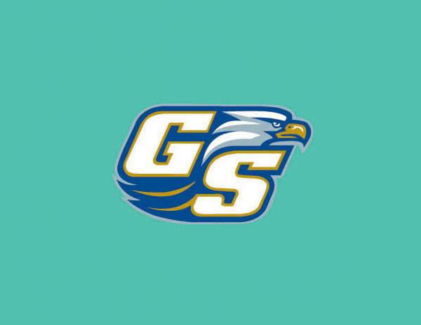 GS字母簡寫與鷹元素結(jié)合的LOGO設(shè)計