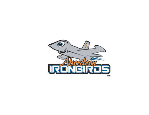 IRONBIRDS飛行愛好者LOGO