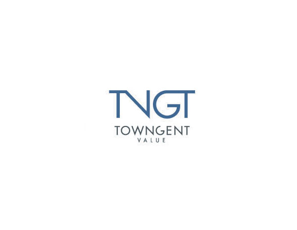 TNGT企業(yè)LOGO設(shè)計是把TN和GT字母分別焊接的創(chuàng)意