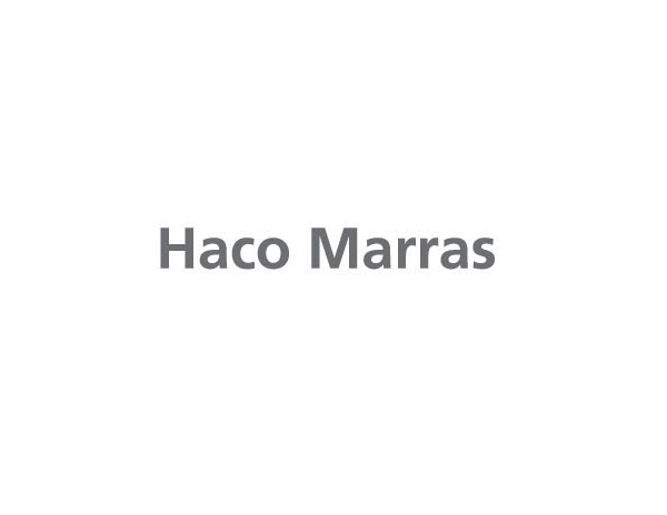 Haco Marras市場咨詢公司LOGO設(shè)計