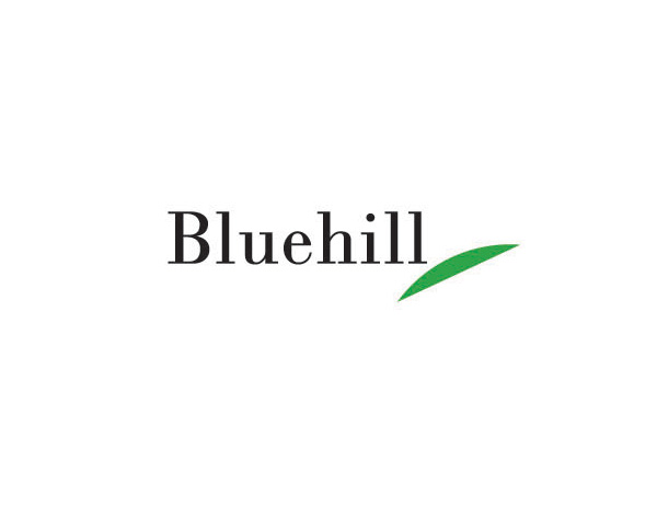 Bluehill制冷設(shè)備企業(yè)標(biāo)志設(shè)計​，用了綠葉來襯托。