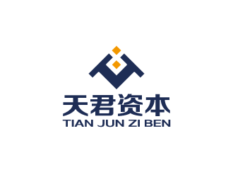 ​安徽天君資本管理有限責(zé)任公司標(biāo)志簡介