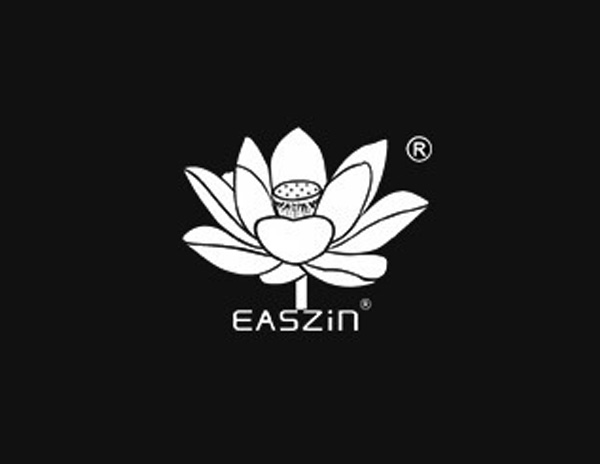 錢錢網(wǎng)信息技術公司旗下品牌EASZIN