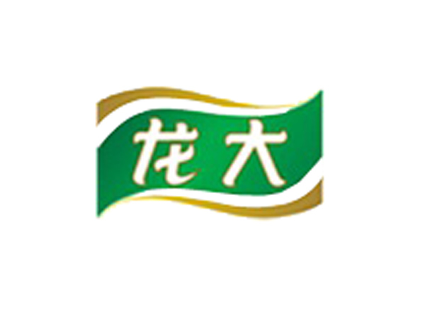龍大食品標(biāo)志設(shè)計(jì)​主體部分既像一面迎風(fēng)招展的旗幟