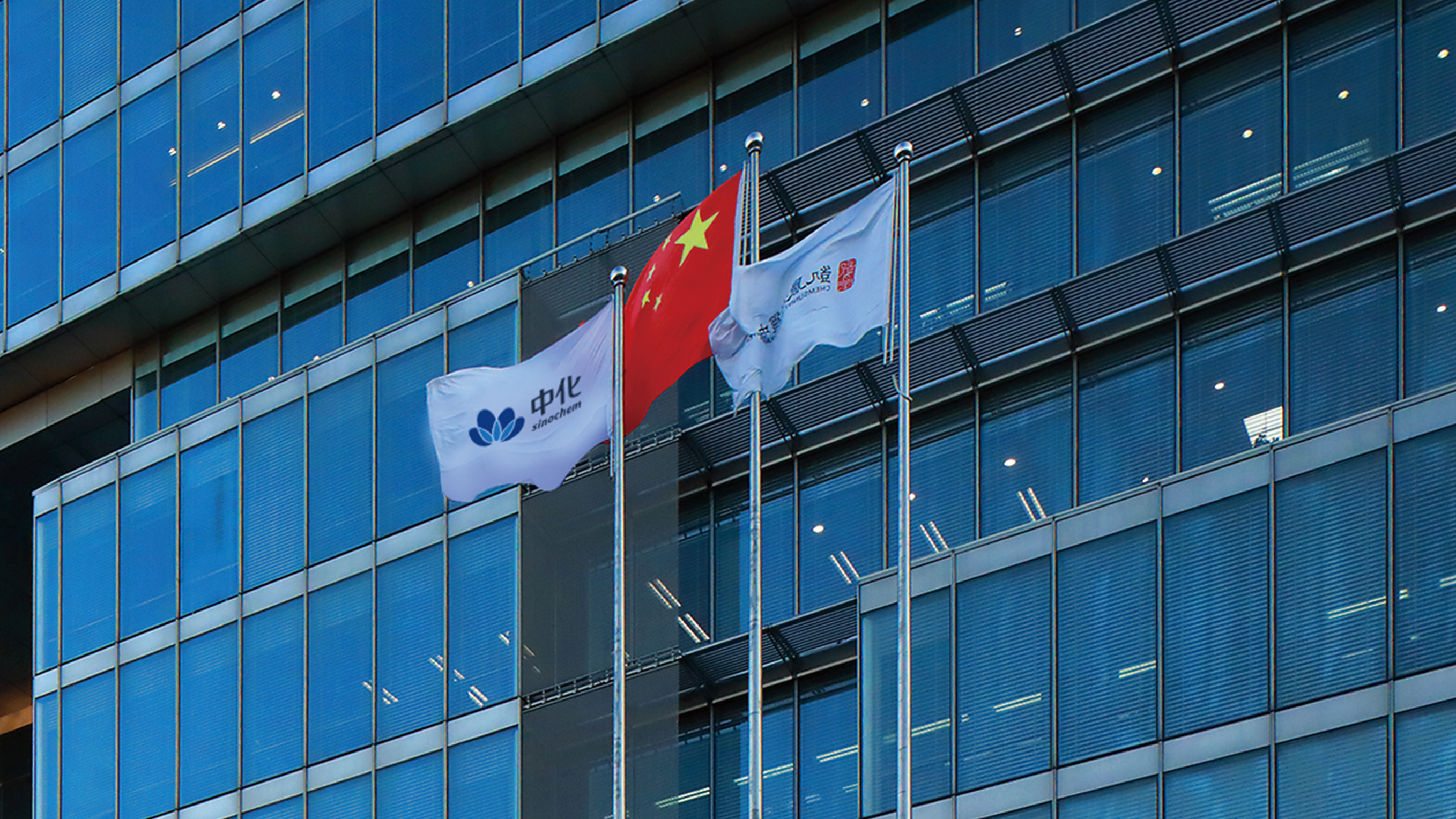 中化LOGO設計旗子效果