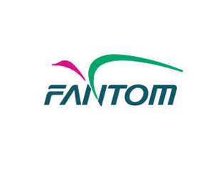 FANTOM航空服務(wù)公司LOGO設(shè)計(jì)