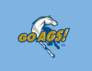 GOAGS馬戲團(tuán)LOGO設(shè)計(jì)