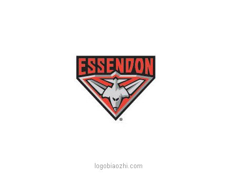 ESSENDON航空電氣公司